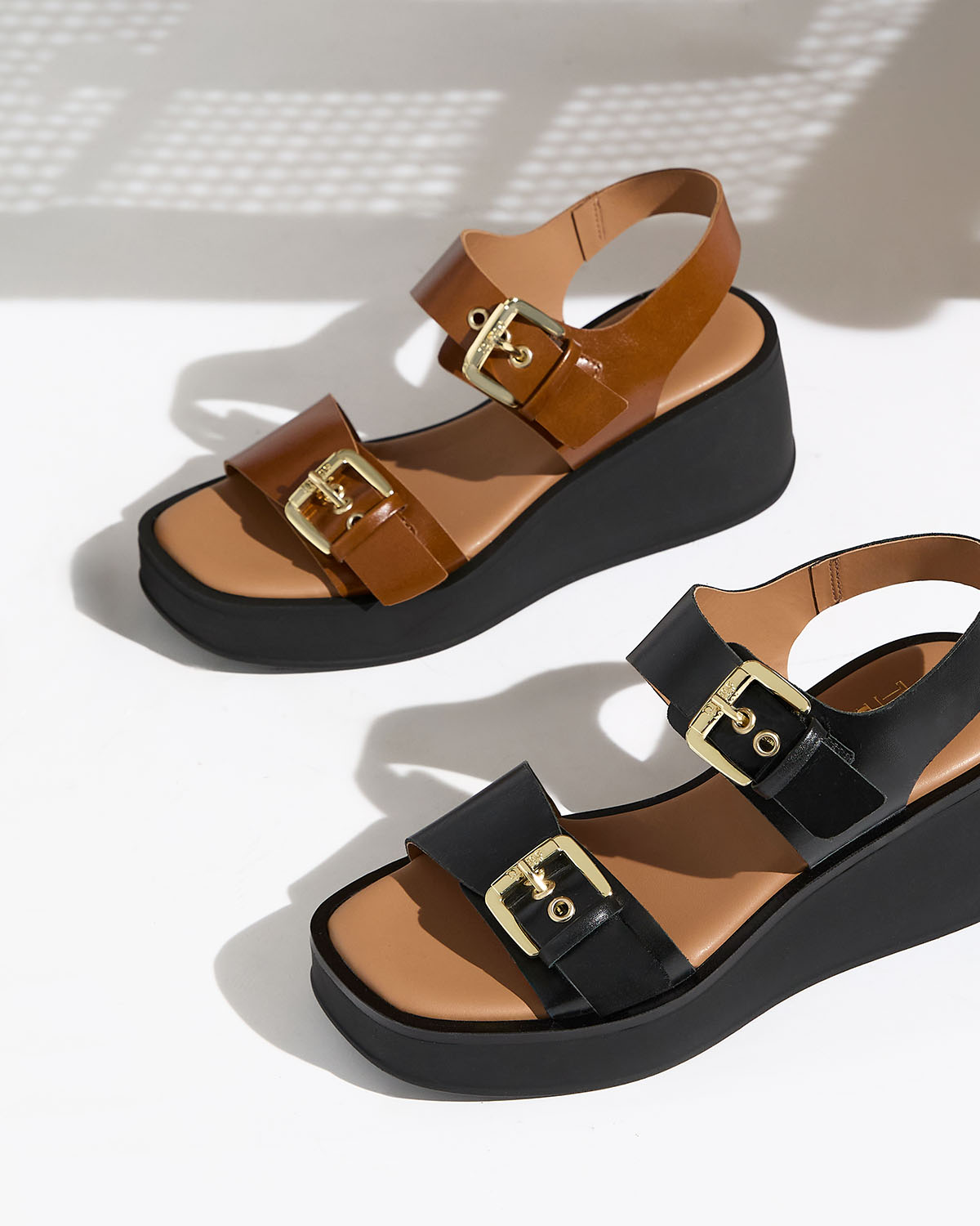 Women's Catalog Image